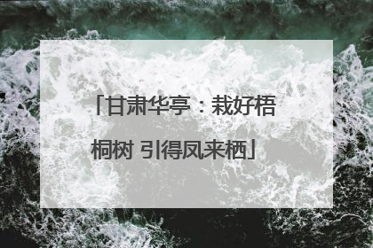 甘肃华亭：栽好梧桐树 引得凤来栖
